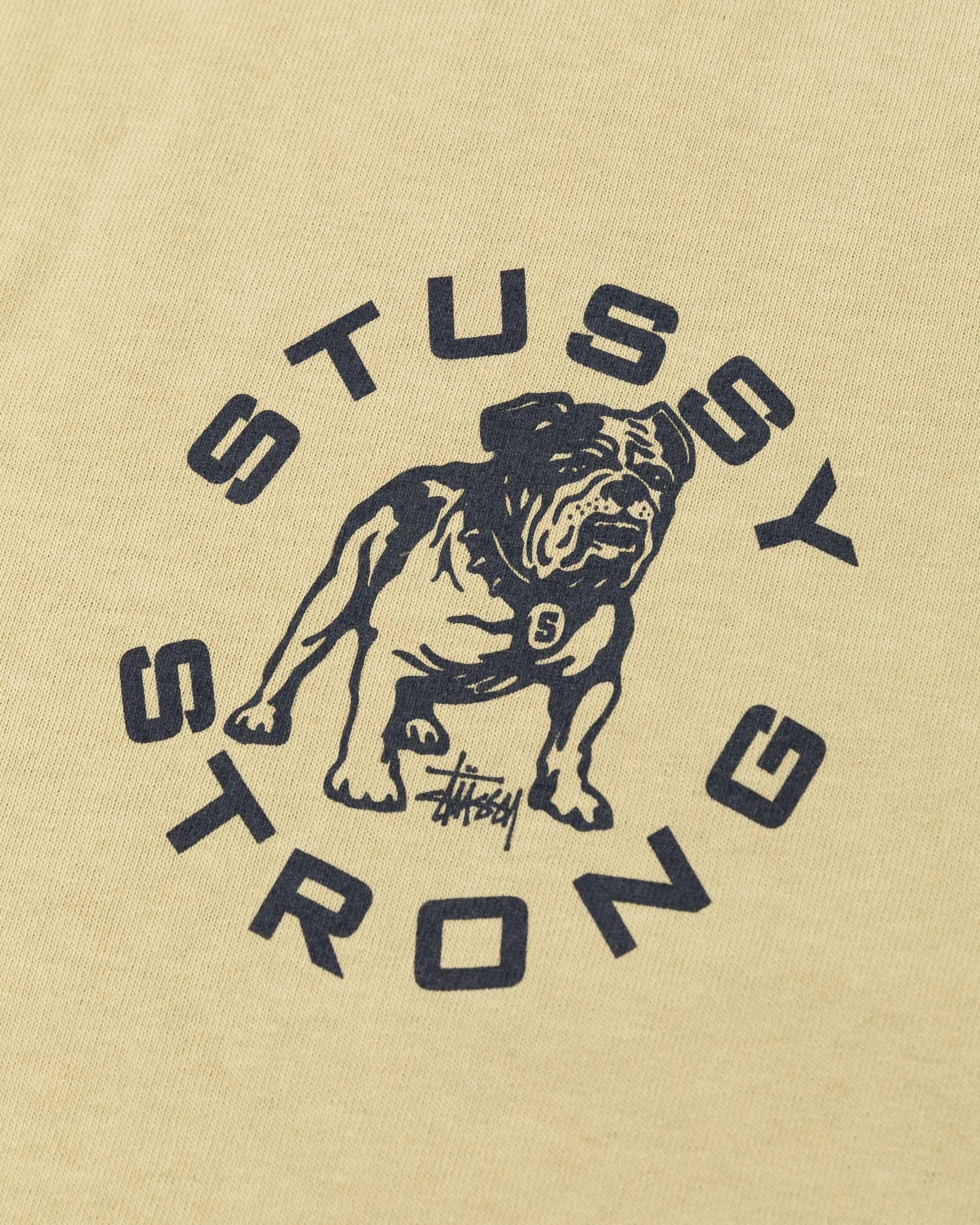 Strong Mac Pigment Dyed Tee Elm
