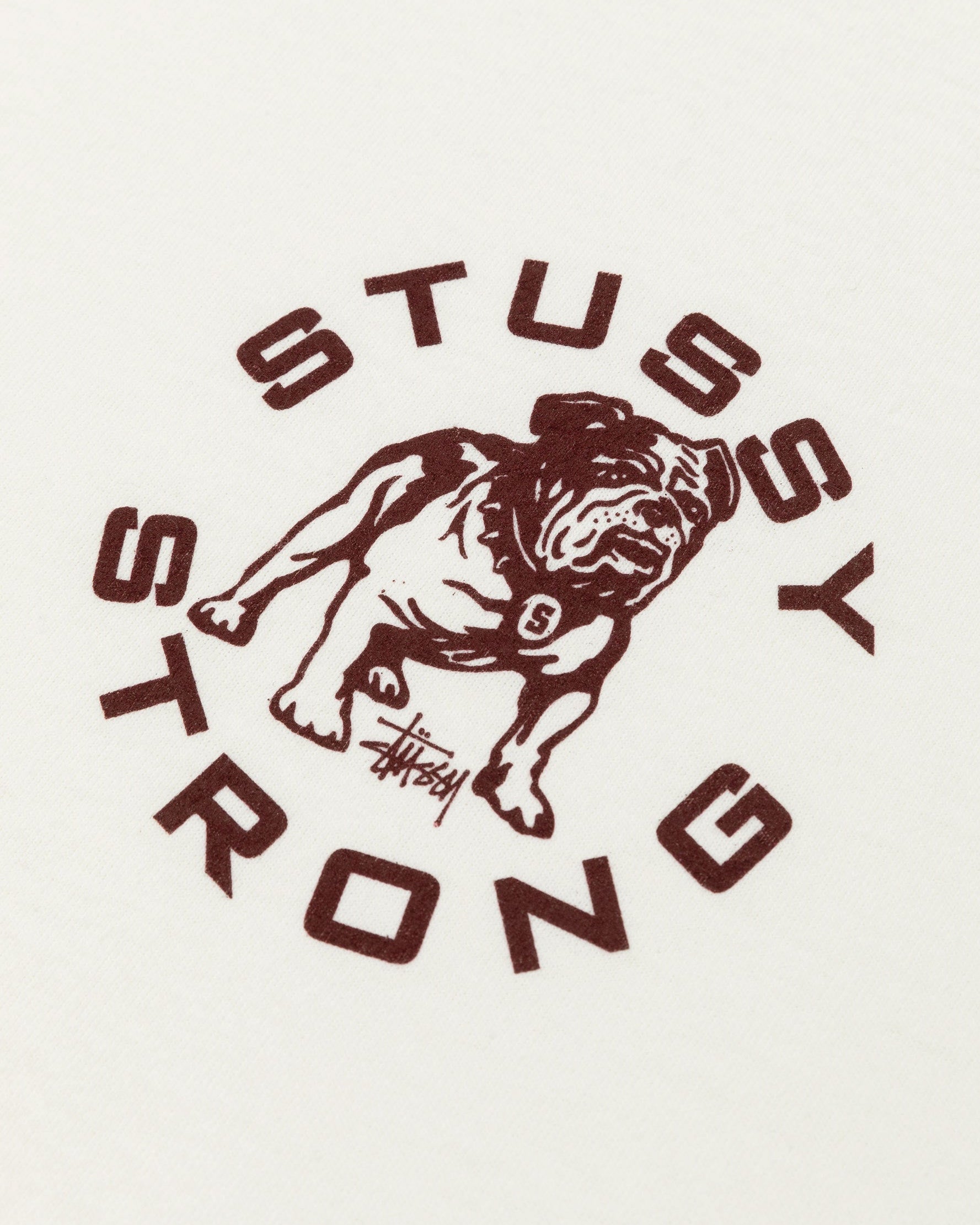 Strong Mac Pig. Dyed Tee Natural